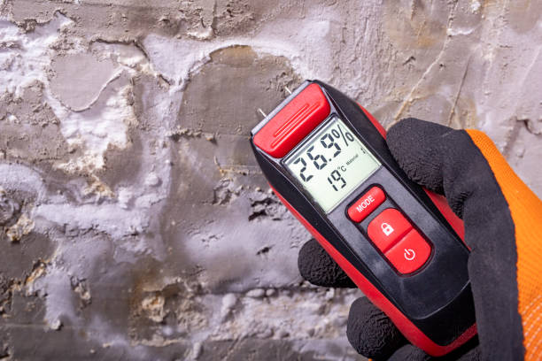 Best Mold Testing and Inspection Services in Mart, TX