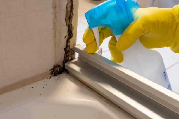 Best Mold Remediation for Specific Building Types in Mart, TX