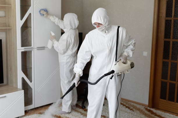 Best Mold Remediation for Specific Building Types in Mart, TX