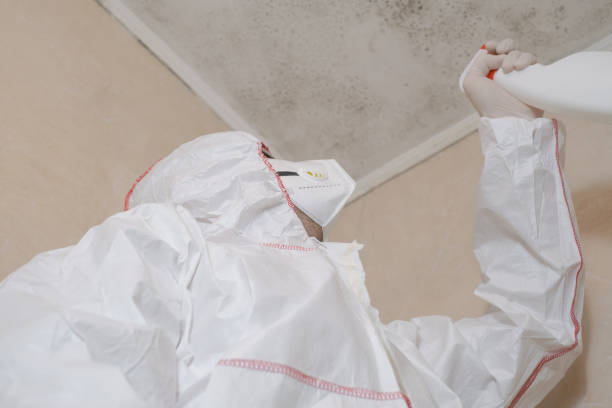 Best Kitchen Mold Remediation in Mart, TX