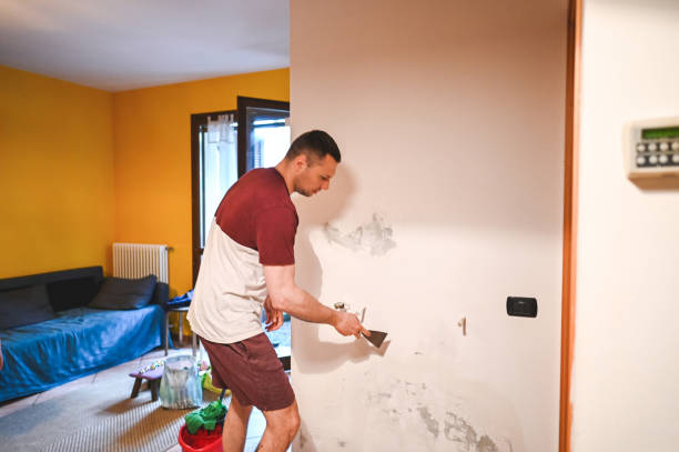 Best Bathroom Mold Remediation in Mart, TX